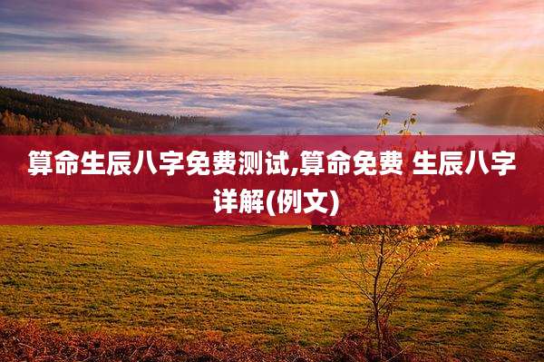 算命生辰八字免费测试,算命免费 生辰八字 详解(例文)