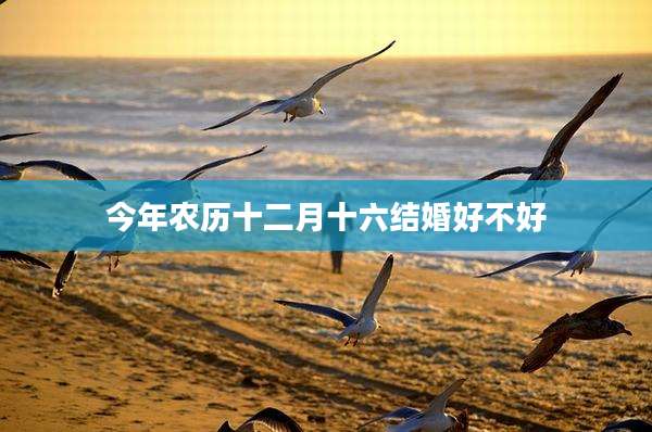 今年农历十二月十六结婚好不好