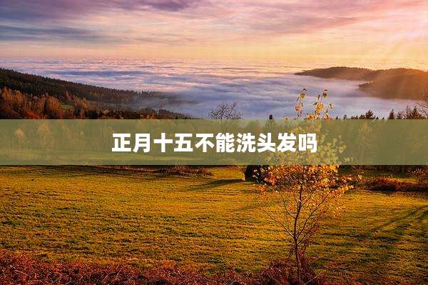 正月十五不能洗头发吗