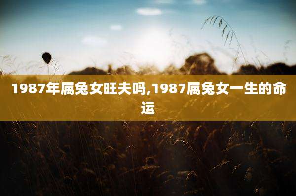 1987年属兔女旺夫吗,1987属兔女一生的命运
