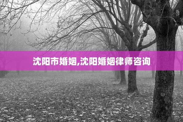 沈阳市婚姻,沈阳婚姻律师咨询