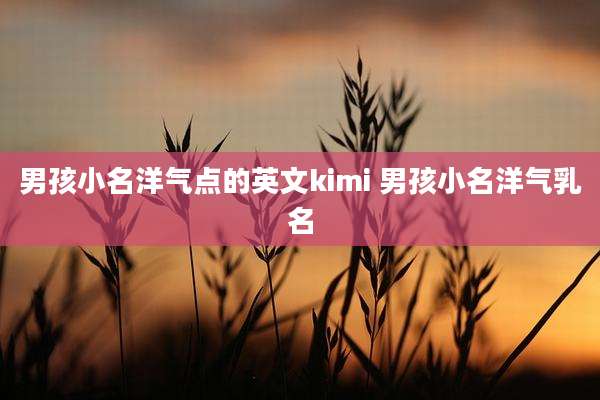 男孩小名洋气点的英文kimi 男孩小名洋气乳名
