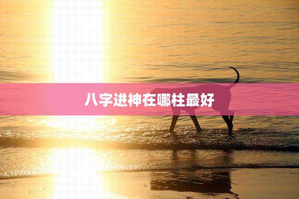 八字进神在哪柱最好