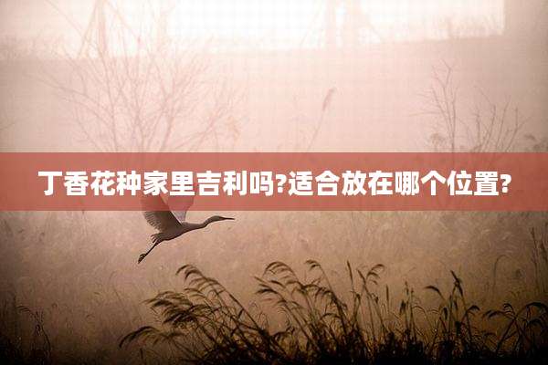 丁香花种家里吉利吗?适合放在哪个位置?