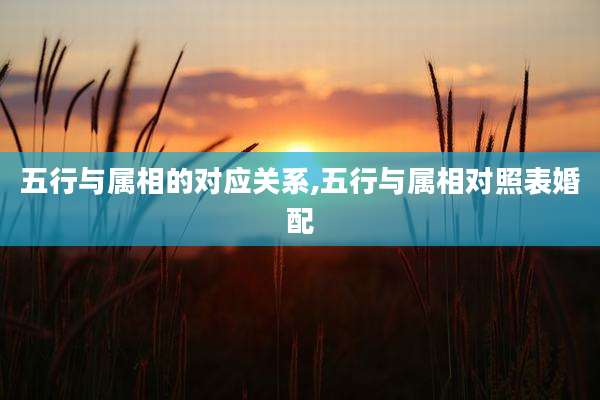 五行与属相的对应关系,五行与属相对照表婚配
