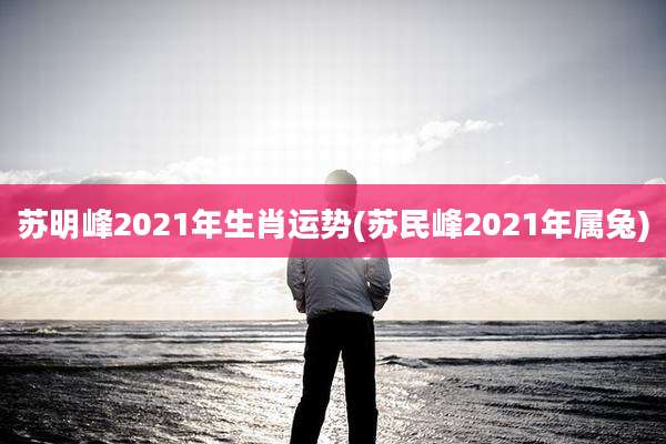 苏明峰2021年生肖运势(苏民峰2021年属兔)
