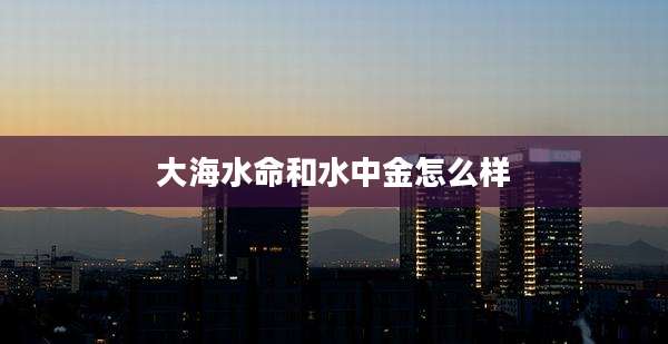 大海水命和水中金怎么样