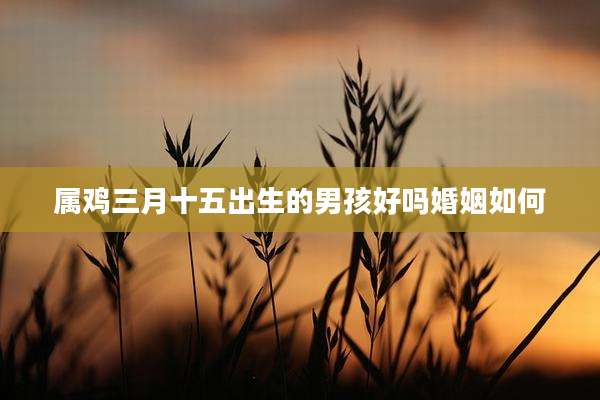 属鸡三月十五出生的男孩好吗婚姻如何