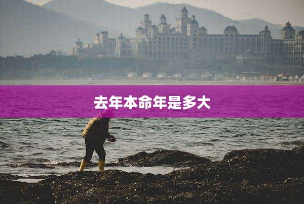 去年本命年是多大