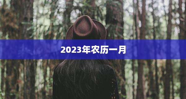 2023年农历一月