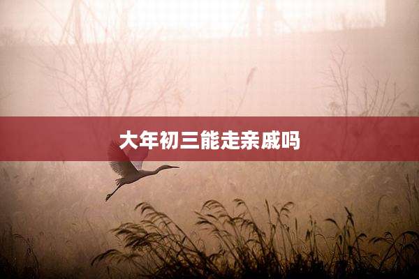 大年初三能走亲戚吗