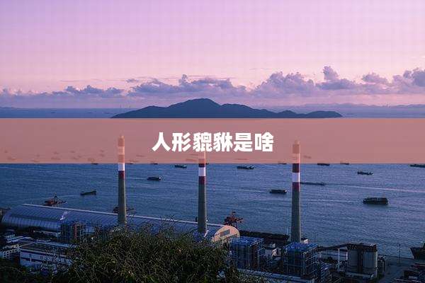 人形貔貅是啥