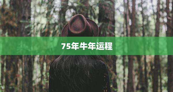 75年牛年运程
