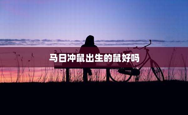 马日冲鼠出生的鼠好吗