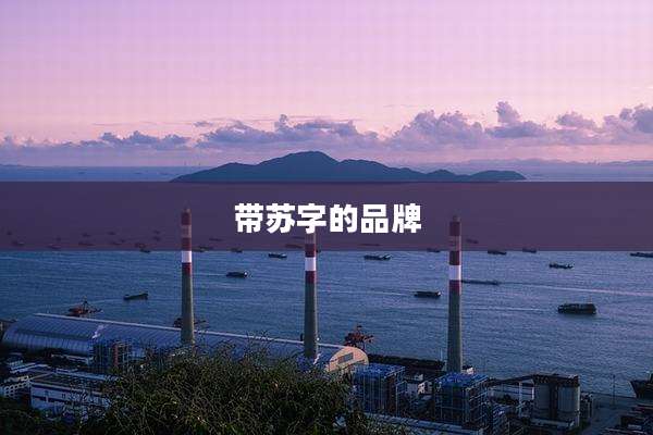 带苏字的品牌
