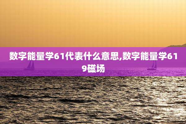 数字能量学61代表什么意思,数字能量学619磁场