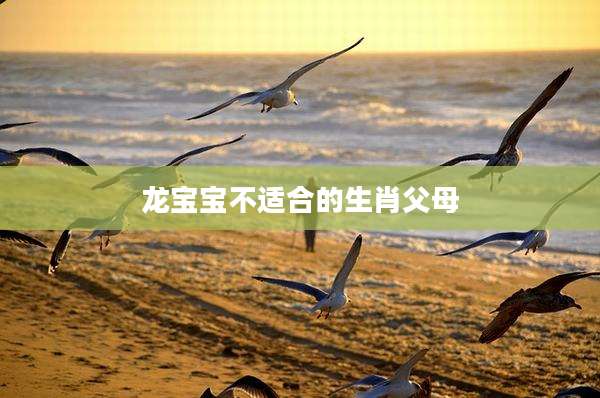 龙宝宝不适合的生肖父母