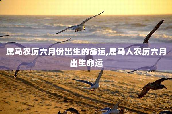 属马农历六月份出生的命运,属马人农历六月出生命运