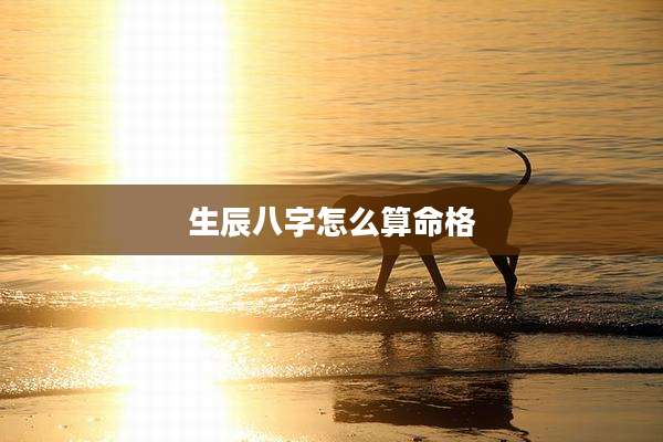 生辰八字怎么算命格