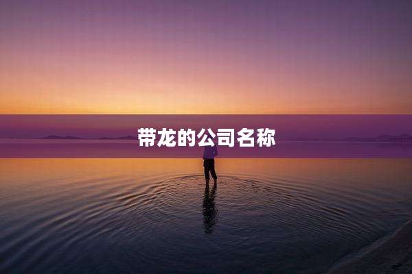 带龙的公司名称