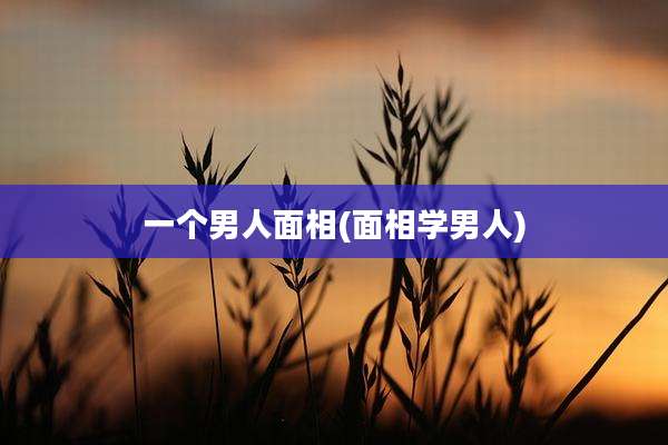 一个男人面相(面相学男人)