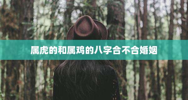 属虎的和属鸡的八字合不合婚姻