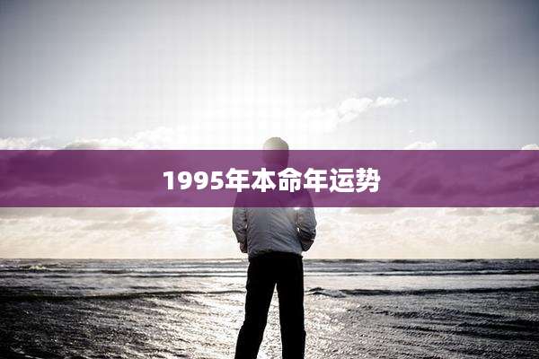 1995年本命年运势