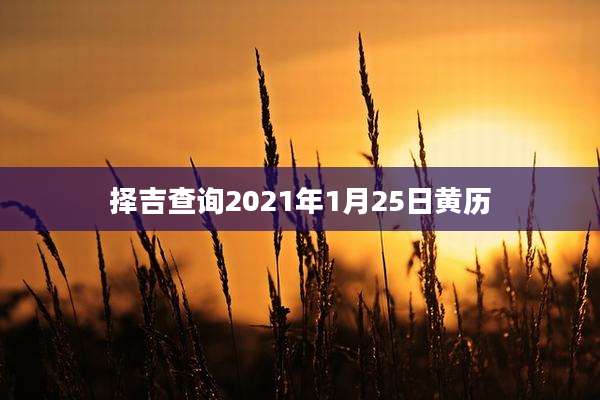 择吉查询2021年1月25日黄历