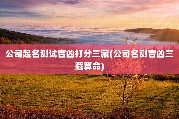 公司起名测试吉凶打分三藏(公司名测吉凶三藏算命)
