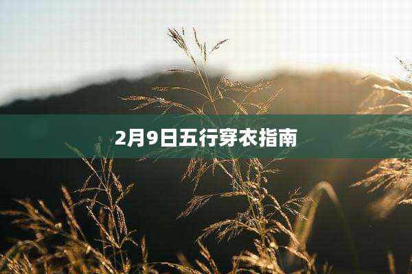 2月9日五行穿衣指南