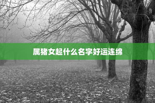 属猪女起什么名字好运连绵
