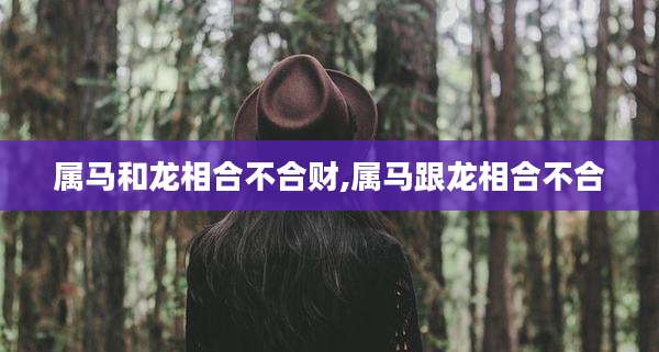 属马和龙相合不合财,属马跟龙相合不合
