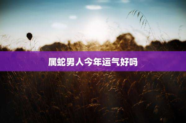 属蛇男人今年运气好吗