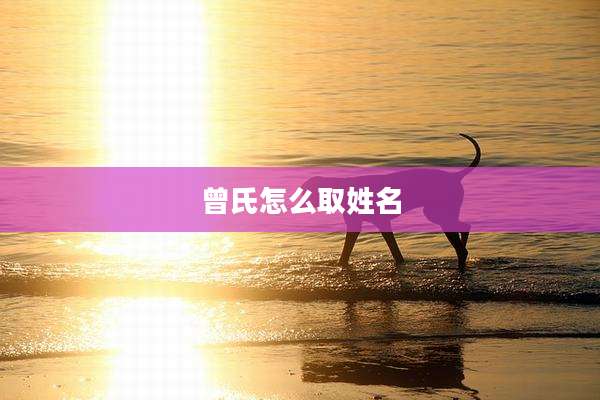 曾氏怎么取姓名