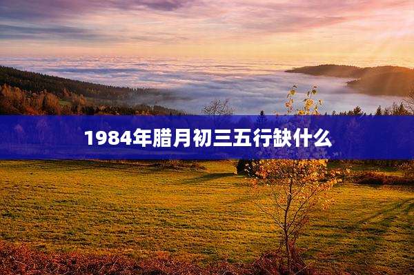 1984年腊月初三五行缺什么
