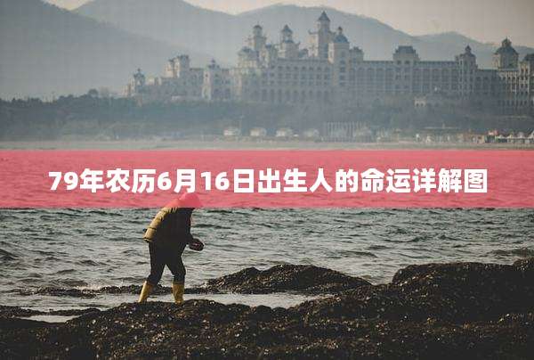 79年农历6月16日出生人的命运详解图