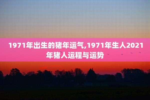 1971年出生的猪年运气,1971年生人2021年猪人运程与运势