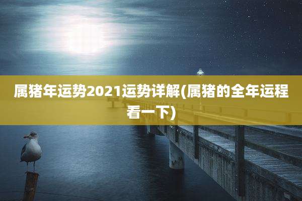 属猪年运势2021运势详解(属猪的全年运程看一下)