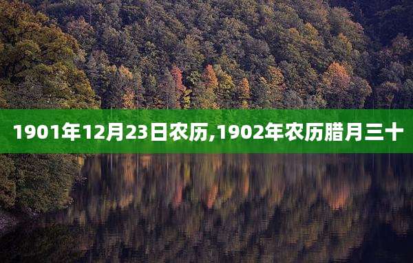 1901年12月23日农历,1902年农历腊月三十