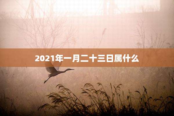 2021年一月二十三日属什么