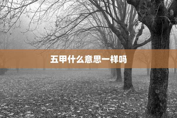 五甲什么意思一样吗