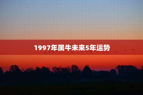 1997年属牛未来5年运势