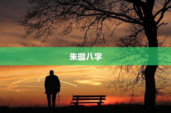 朱璇八字