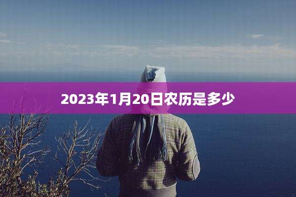 2023年1月20日农历是多少