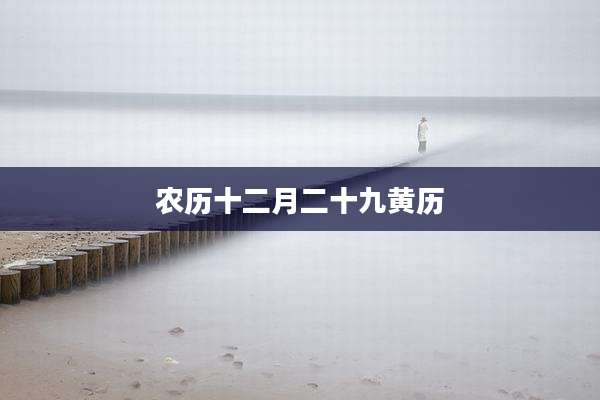 农历十二月二十九黄历
