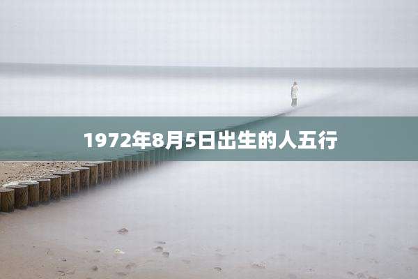 1972年8月5日出生的人五行