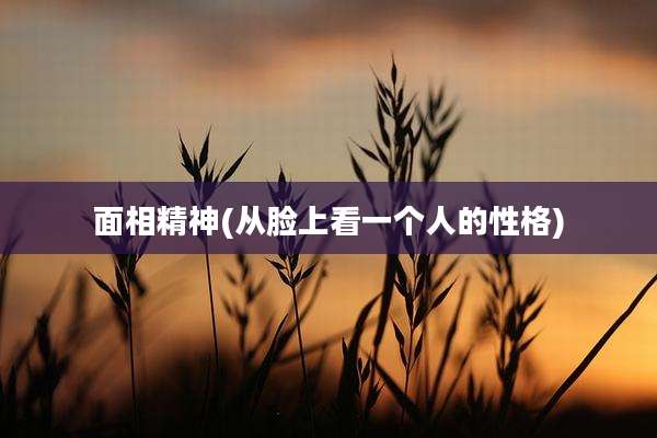 面相精神(从脸上看一个人的性格)