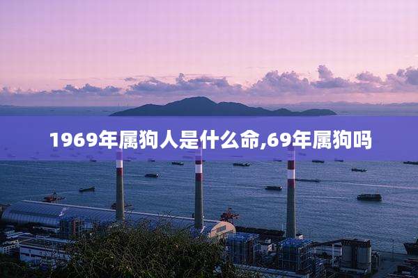 1969年属狗人是什么命,69年属狗吗