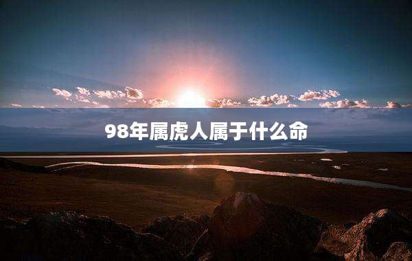 98年属虎人属于什么命
