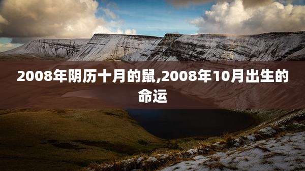 2008年阴历十月的鼠,2008年10月出生的命运
